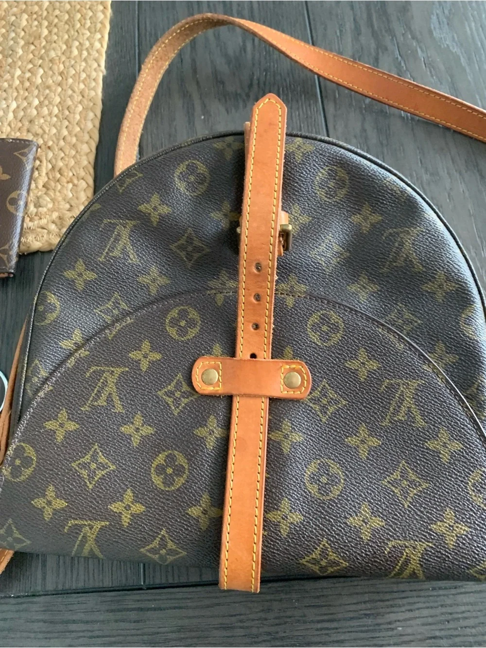 Louis Vuitton Monogram Canvas Crossbody Saddle Bag in Brown and Tan - Picture 12 of 16